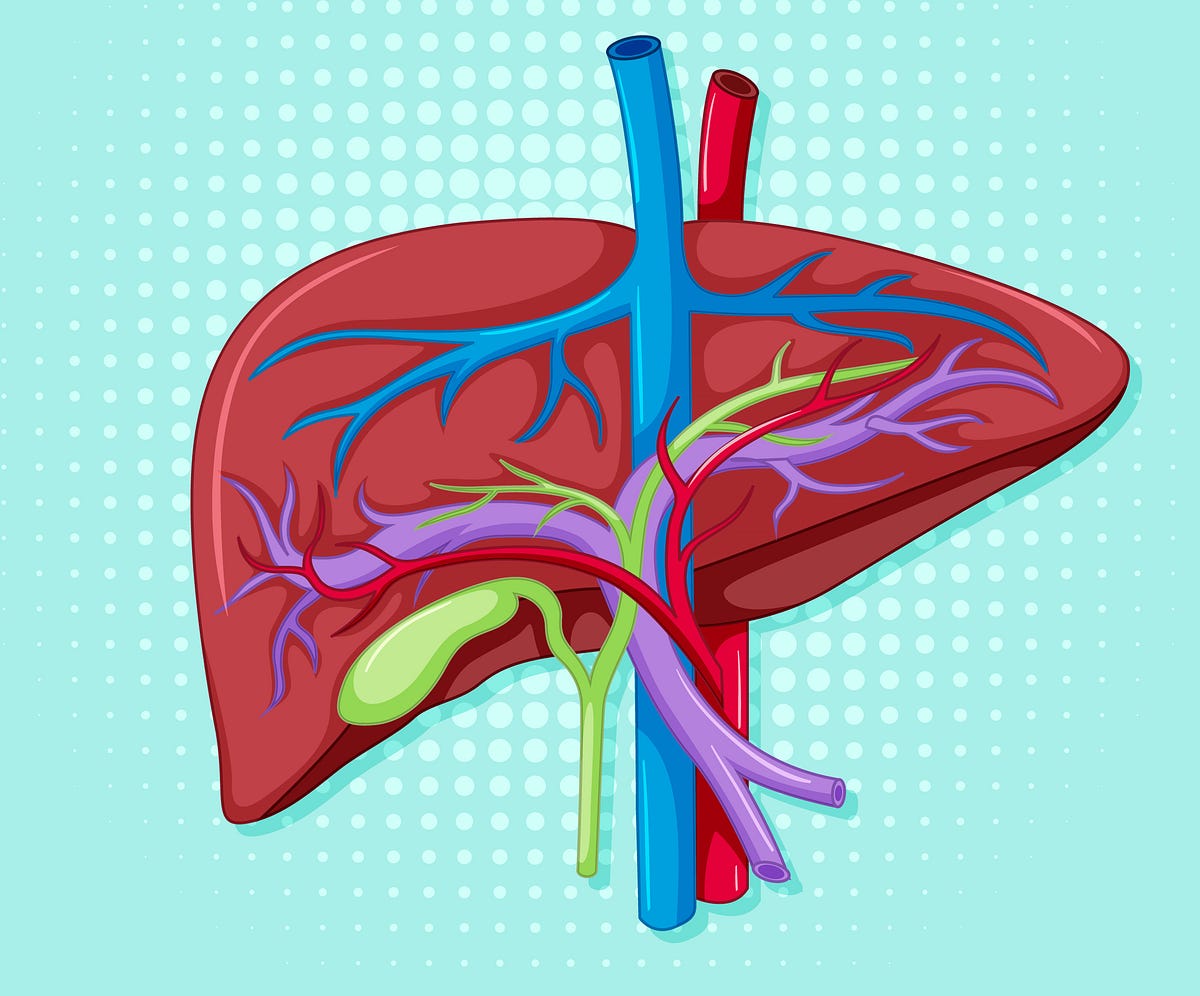 Expert Solutions for Managing Liver Health | by drkiran peddi | Sep, 2025 | Medium