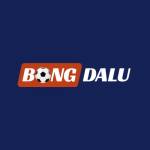 BONGDALU 97 Tỷ số trực tiếp Profile Picture