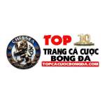 Trang Cá Cược Bóng Đá Profile Picture