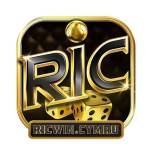 Ricwin cymru Profile Picture