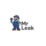 Mr Leak Profile Picture