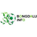 bongdalu info Profile Picture