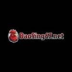 bao sting67 Profile Picture