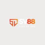 sv88 usorg Profile Picture