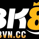 Bk8 Bk8 Profile Picture