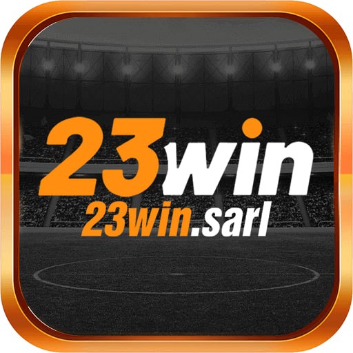 23win sarl Profile Picture