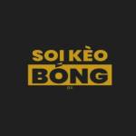 Soikeobongdacom Se Profile Picture