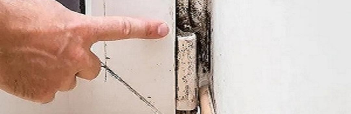 Mould Doctors Cover Image