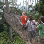 Emmanuel Larbi Profile Picture