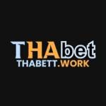 THABET work Profile Picture