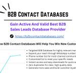 B2B Contact Databases Profile Picture