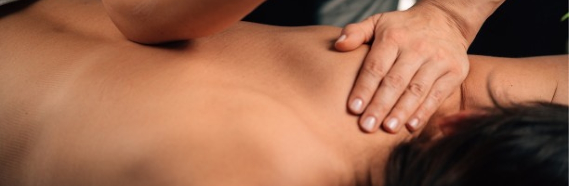 The Wellness Haven Cover Image