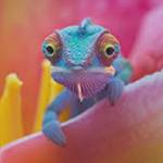 banolo9964 banolo Profile Picture