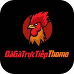 Dagatructiepthomo today Profile Picture