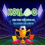 bongda xoilac86i Profile Picture