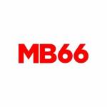 Mb66 net Profile Picture