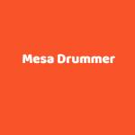 Mesa Drummer Profile Picture