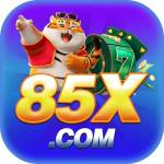 85x net Profile Picture