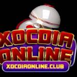 Xóc Đĩa Online Profile Picture