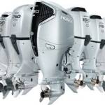 m91951204 m91951204 Profile Picture