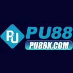 PU88 Profile Picture