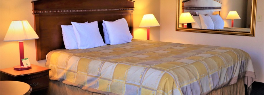 hotel92 palms Cover Image