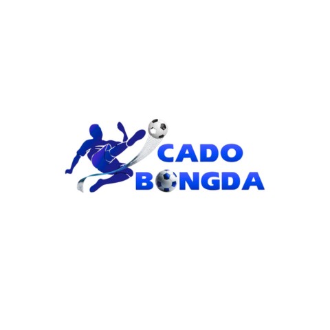 Nhà cái Cá độ bóng đá Profile Picture