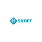 Shbet Id profile picture