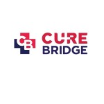 curebridge seo Profile Picture