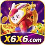 x6x6 Plataforma Profile Picture