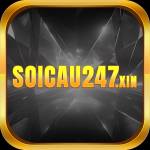 soicau247 xin Profile Picture