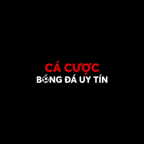 Cá Cược Bóng Đá Nhà cái Cá Cược Bóng Đá Profile Picture