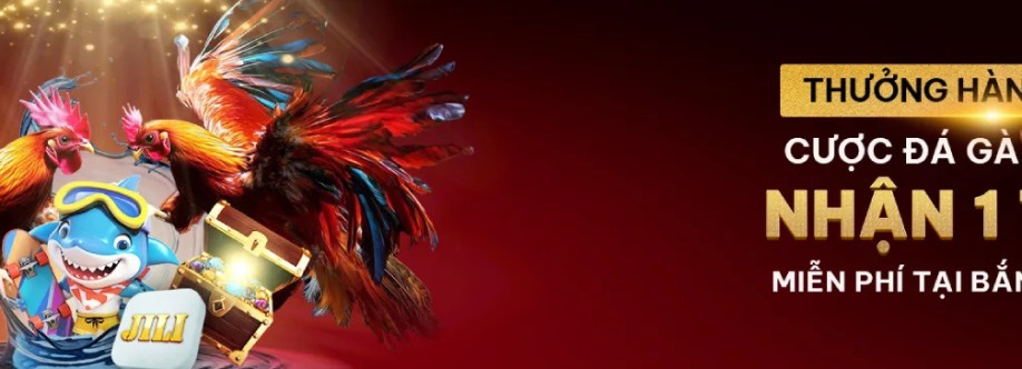 BJ888 email Cover Image