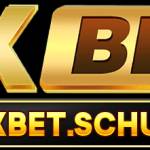 OXBET OXBET Profile Picture