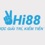 hi 88 Profile Picture