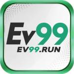 ev99 run Profile Picture