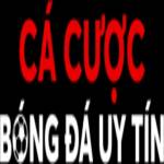 Cá Cược Bóng Đá NHA CAI Profile Picture