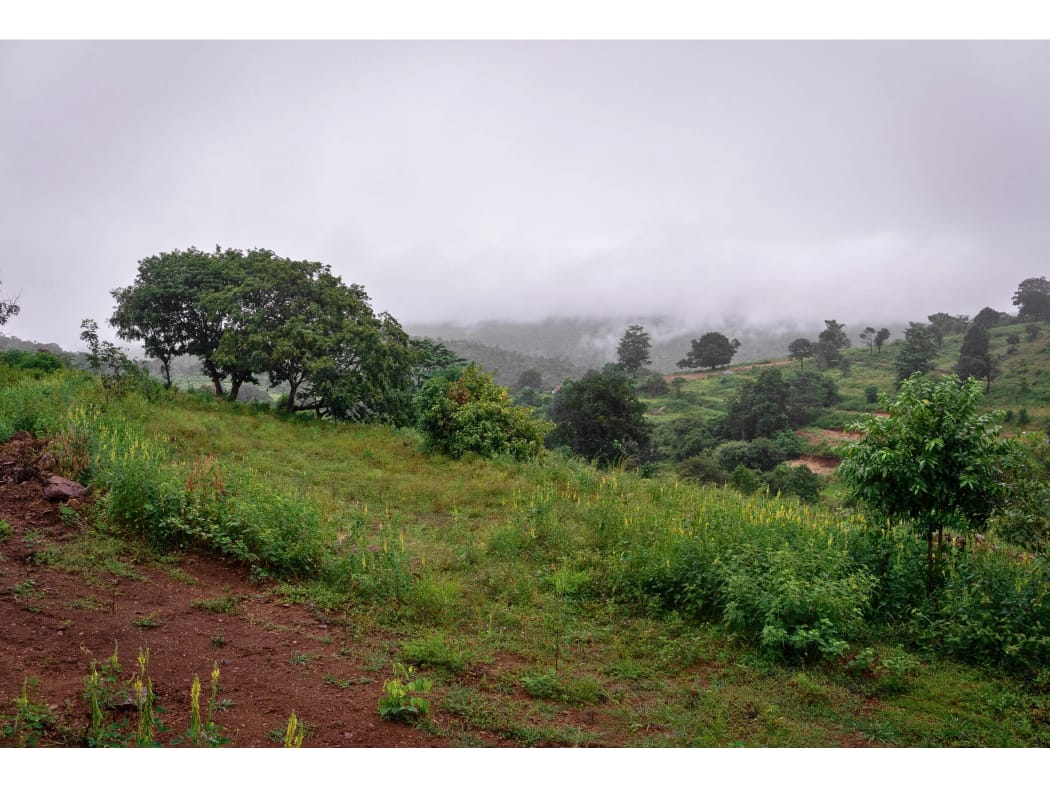 Best Managed Farmland Near Bangalore | Agricultural Land for Sale