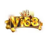 vi68 rodeo Profile Picture