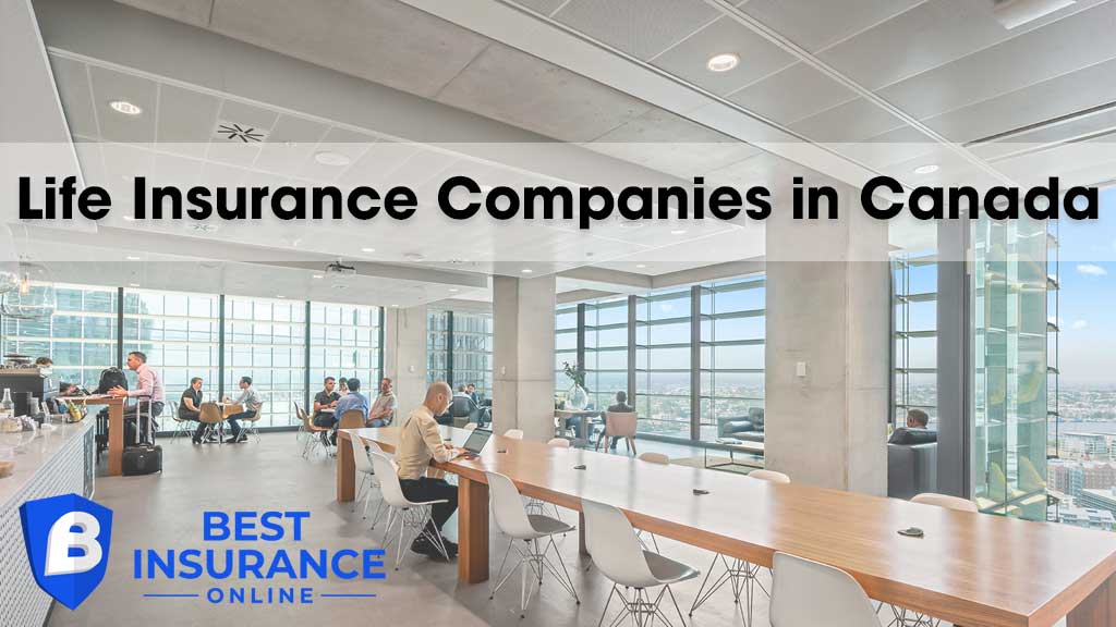 View life insurance companies in Canada 2024