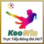 KeoWin Tỷ Lệ Kèo Cực Cao Profile Picture