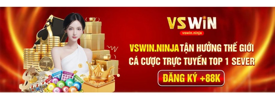 Vswin ninja Cover Image