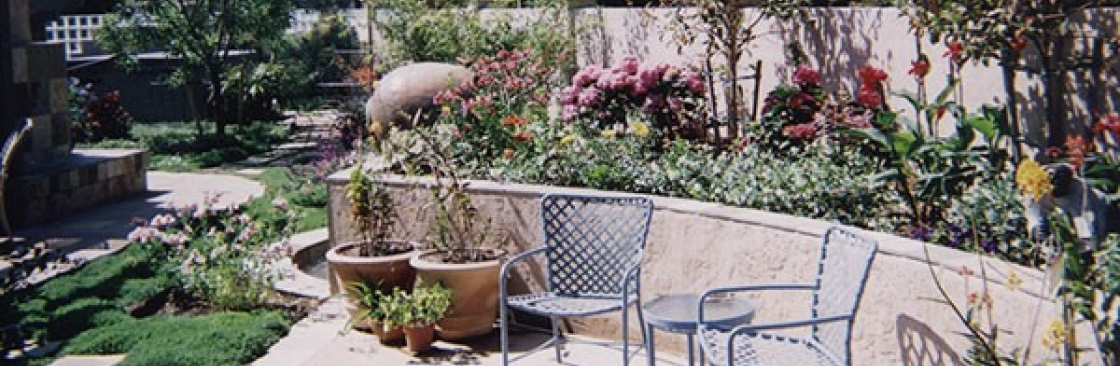 Dan Olsen Cover Image