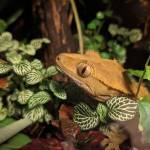 Monty Web Profile Picture
