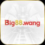 big88wang big88wang Profile Picture