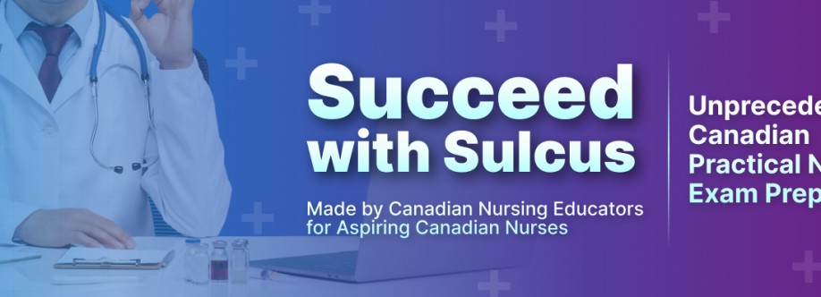 Sulcus Learning Cover Image