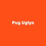 Pug Uglys Profile Picture