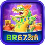 br67 Profile Picture