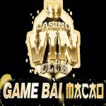 Vinclub life Profile Picture