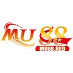mu88 bet Profile Picture